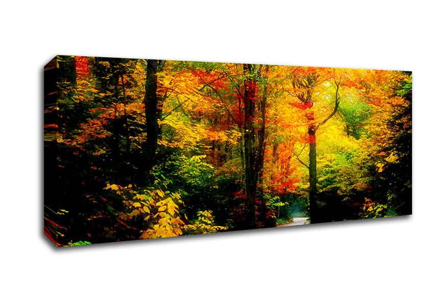 Picture of Autumn Road Panoramic Canvas Wall Art