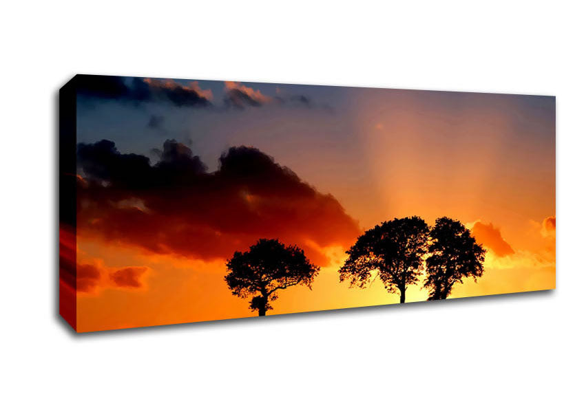 Picture of Morning Sunrise Peaking Through The Trees Panoramic Canvas Wall Art