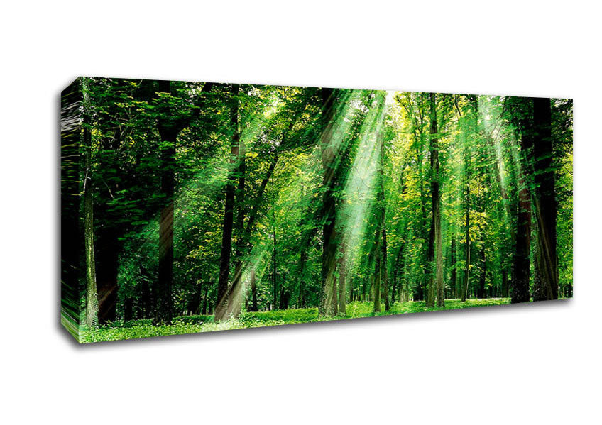 Picture of Sunbeams From Heaven Panoramic Canvas Wall Art