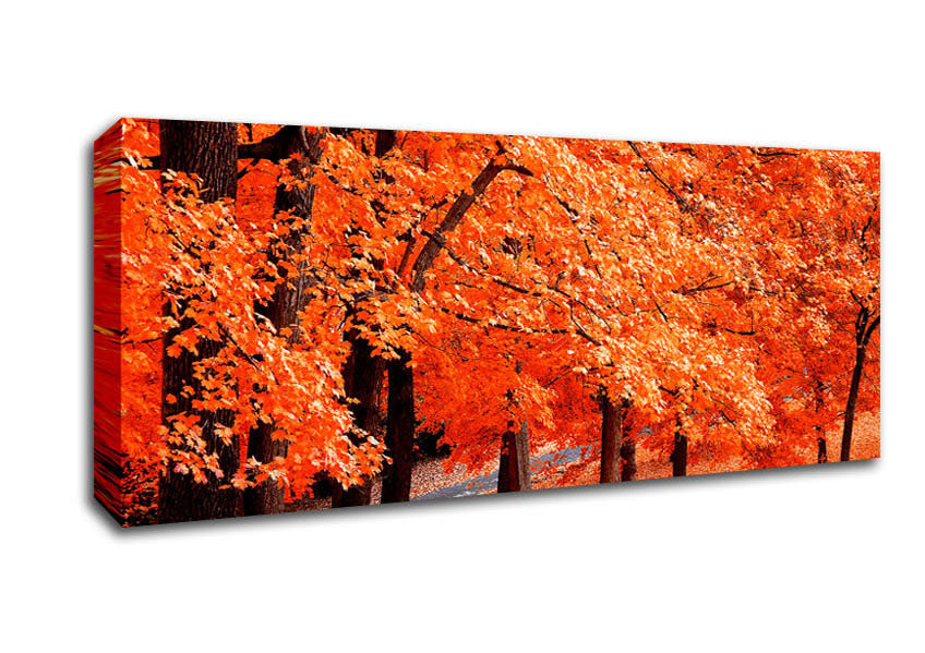 Picture of Orange Tree Parade Panoramic Canvas Wall Art