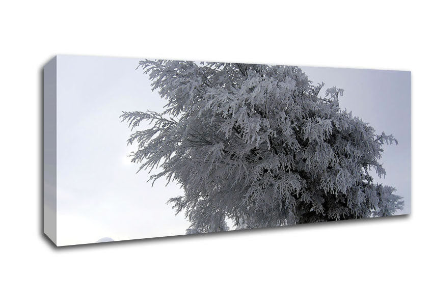 Picture of In The Dead Of Winter Panoramic Canvas Wall Art