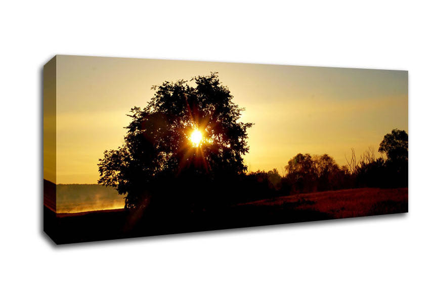 Picture of Sun Piercing Through The Tree Panoramic Canvas Wall Art