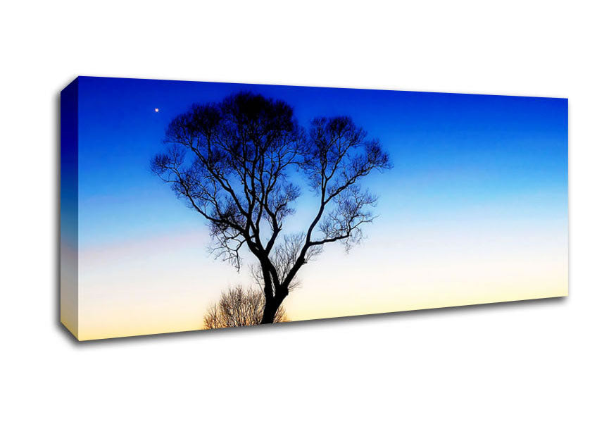 Picture of Magical Skies Panoramic Canvas Wall Art