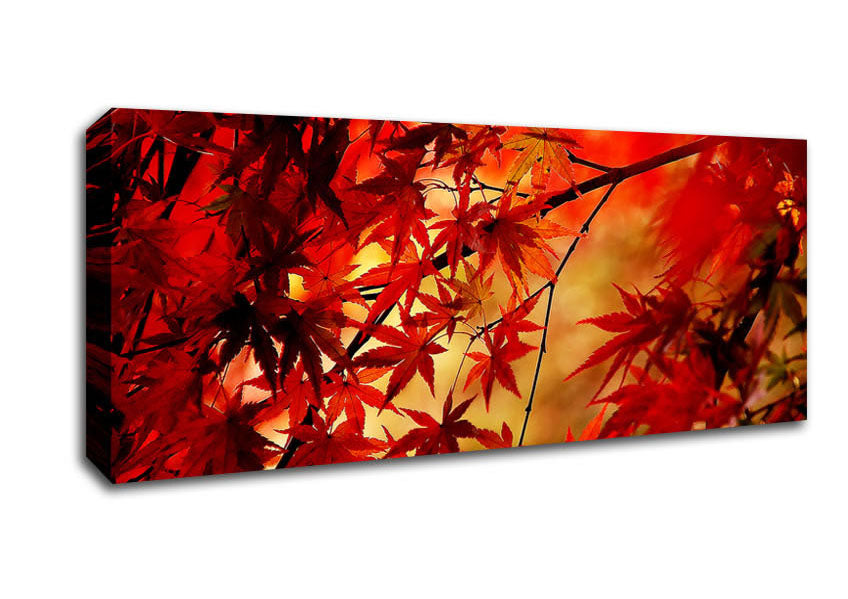 Picture of Red Leaves In Winter Panoramic Canvas Wall Art