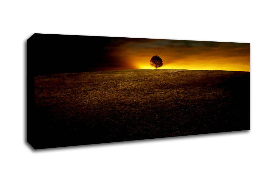 Picture of Lonely Tree At First Light Panoramic Canvas Wall Art