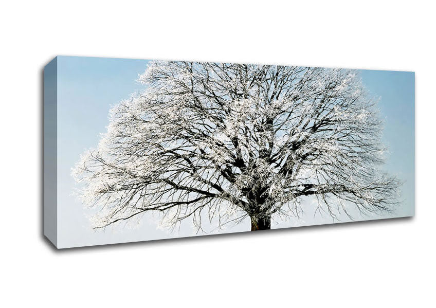 Picture of Snow Tree Panoramic Canvas Wall Art