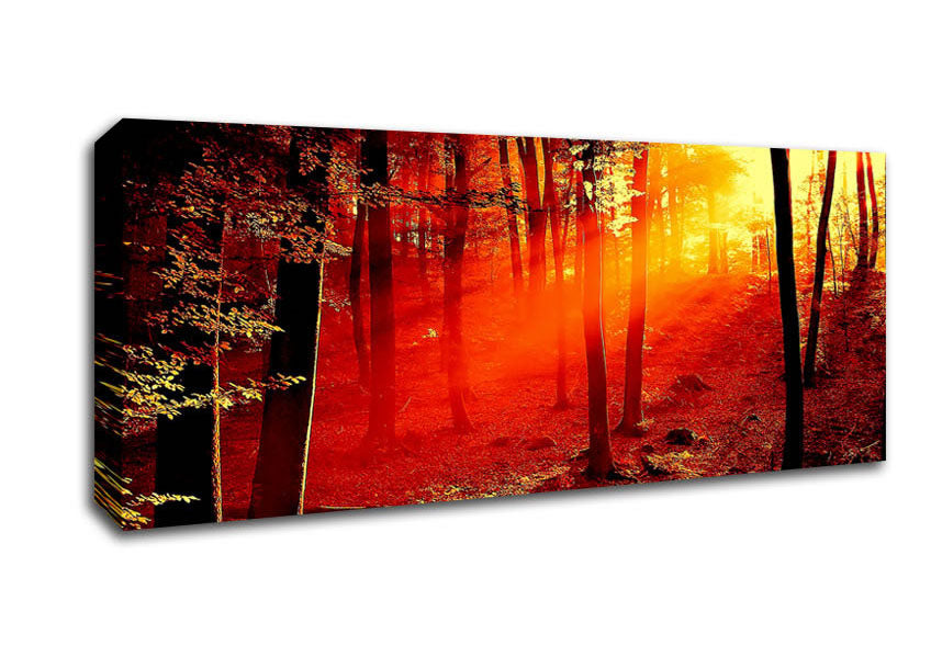 Picture of Red Woodland Beam Panoramic Canvas Wall Art