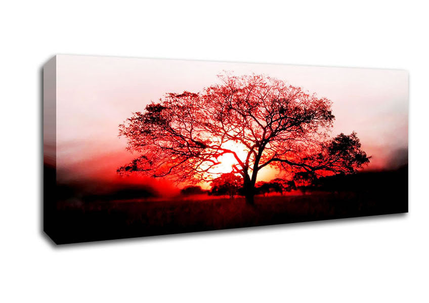 Picture of Red Sunrise Oak Tree Panoramic Canvas Wall Art