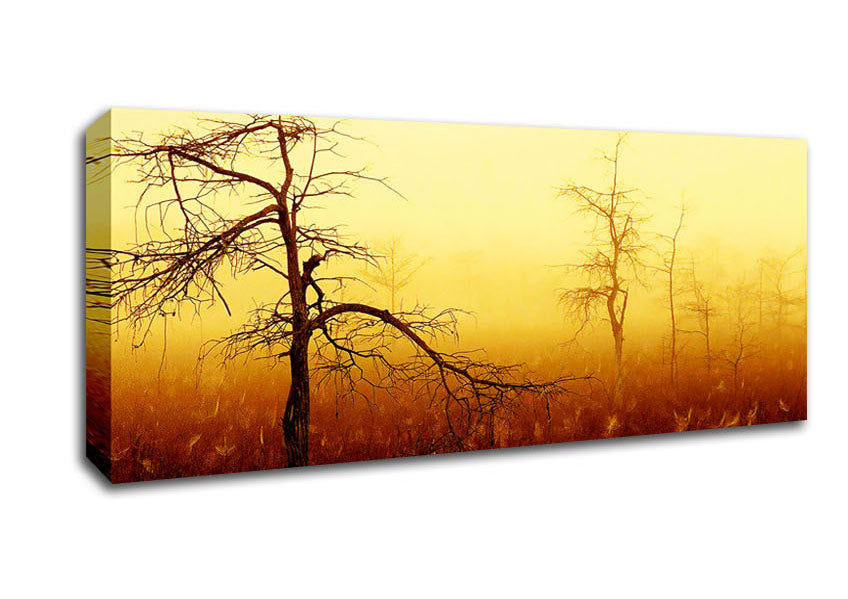 Picture of Treeline Mist Panoramic Canvas Wall Art