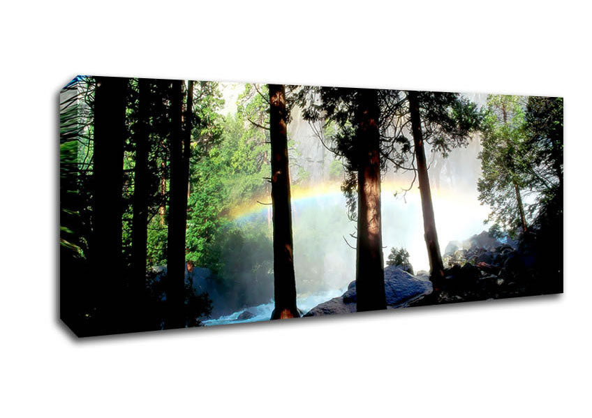 Picture of Rainbow In The Woodland Panoramic Canvas Wall Art