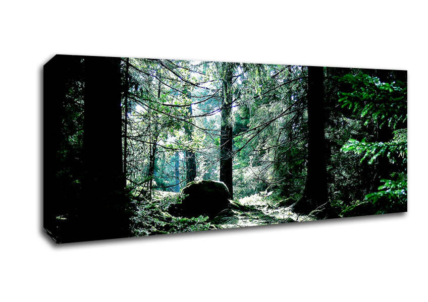 Picture of Trickling Stream Panoramic Canvas Wall Art