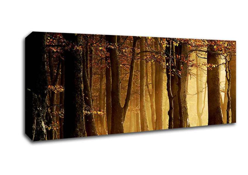 Picture of Land Of Trees Panoramic Canvas Wall Art