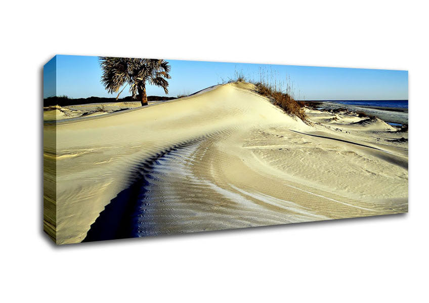 Picture of Desert Lonesome Tree Panoramic Canvas Wall Art