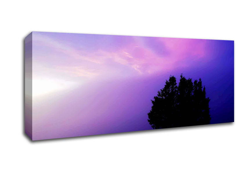 Picture of Lilac Tree Light Panoramic Canvas Wall Art