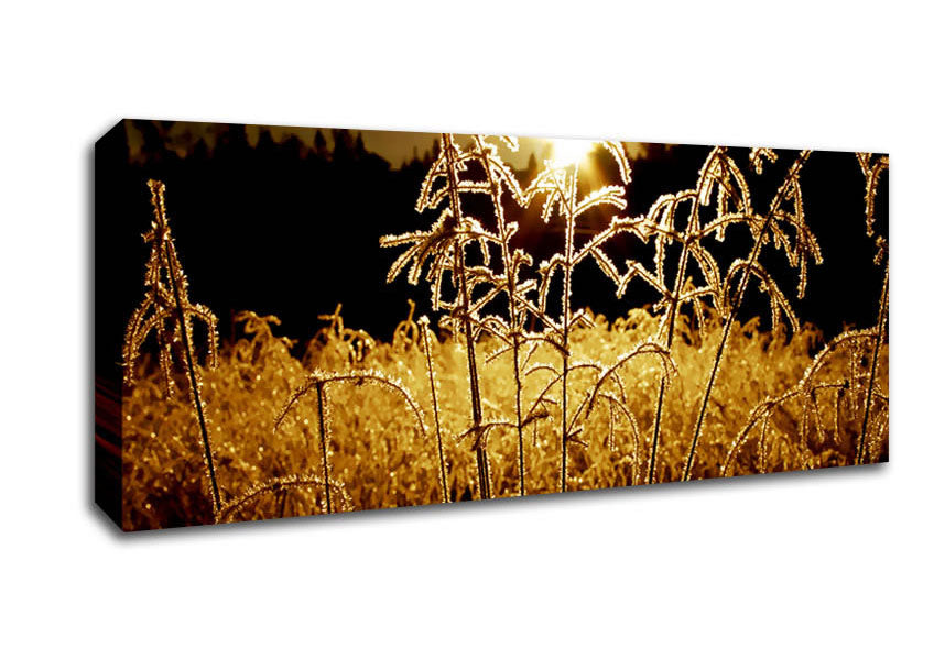 Picture of Fields Of Gold Panoramic Canvas Wall Art