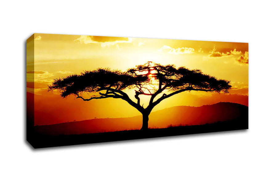 Picture of African Tree At Sunset Panoramic Canvas Wall Art