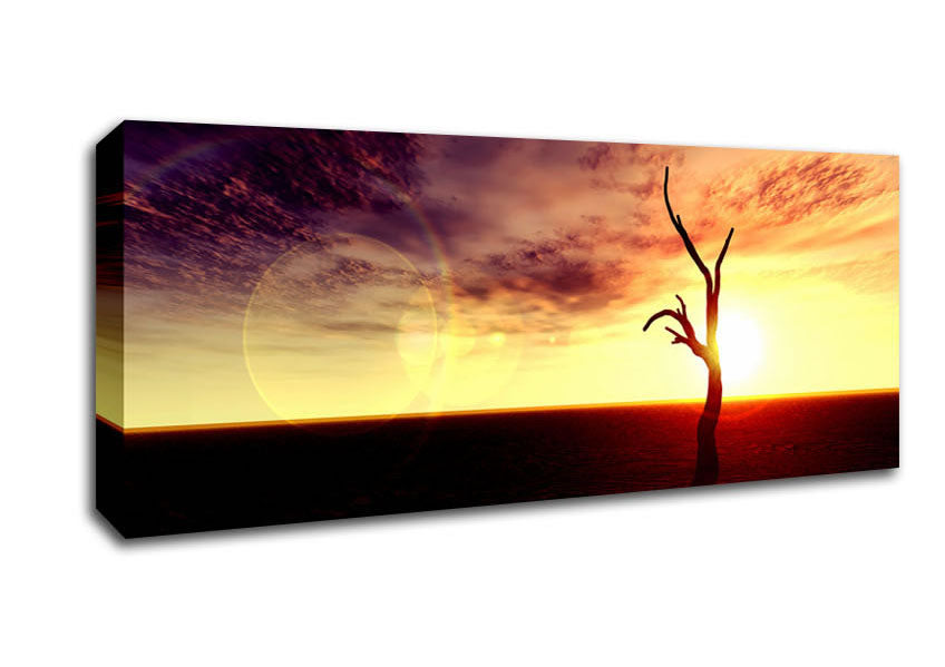 Picture of Oceans Driftwood Panoramic Canvas Wall Art