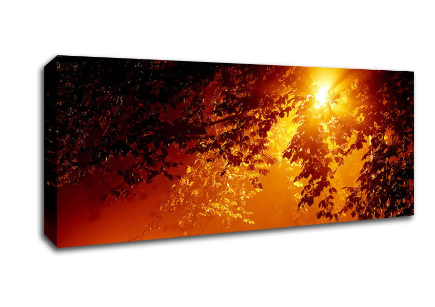 Picture of Stunning Sun Through The Leaves Panoramic Canvas Wall Art