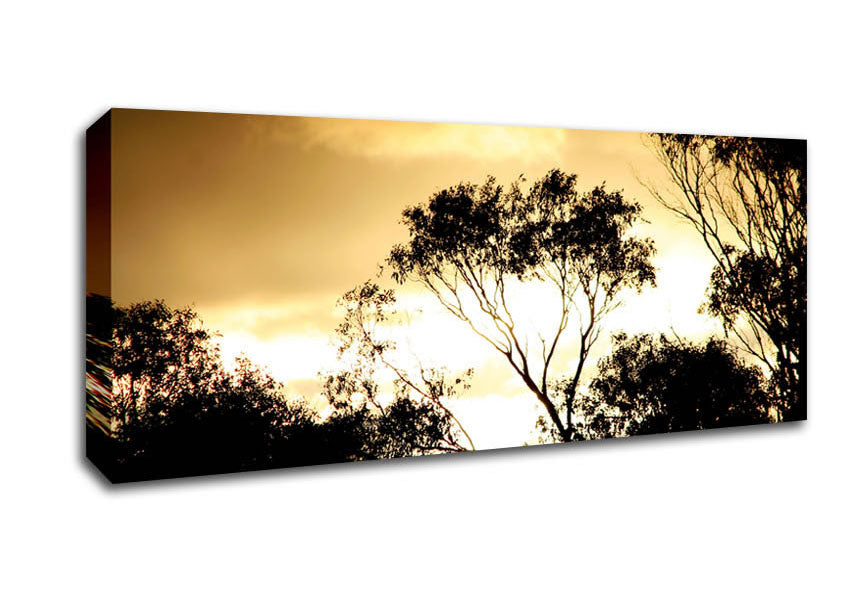 Picture of Golden Light Treetops Panoramic Canvas Wall Art