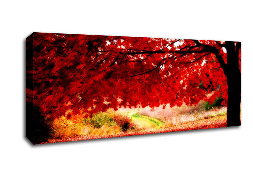 Picture of Red Autumn Tree Panoramic Canvas Wall Art