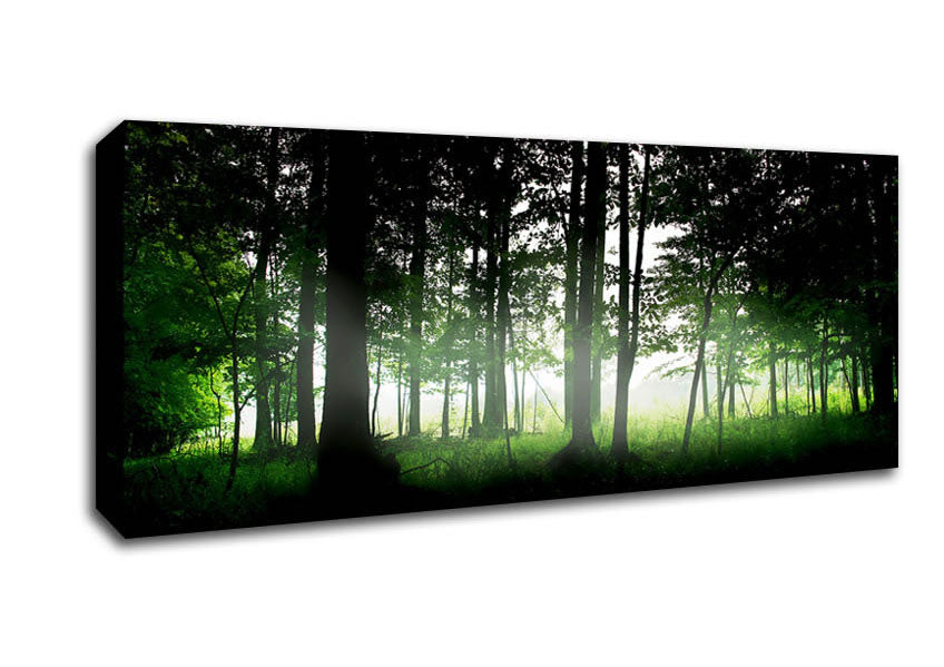 Picture of Woodland Mist Panoramic Canvas Wall Art