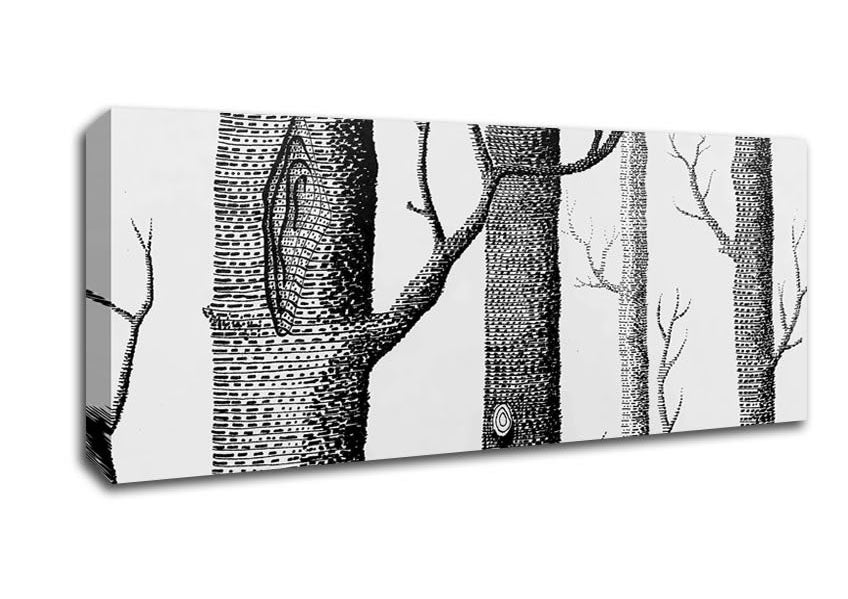 Picture of Black And White Tree Trunks Panoramic Canvas Wall Art