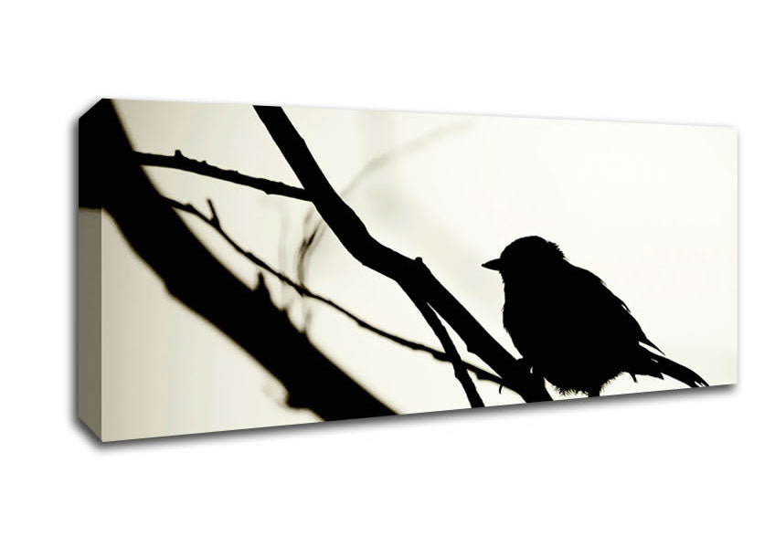 Picture of Birds Pirch Panoramic Canvas Wall Art