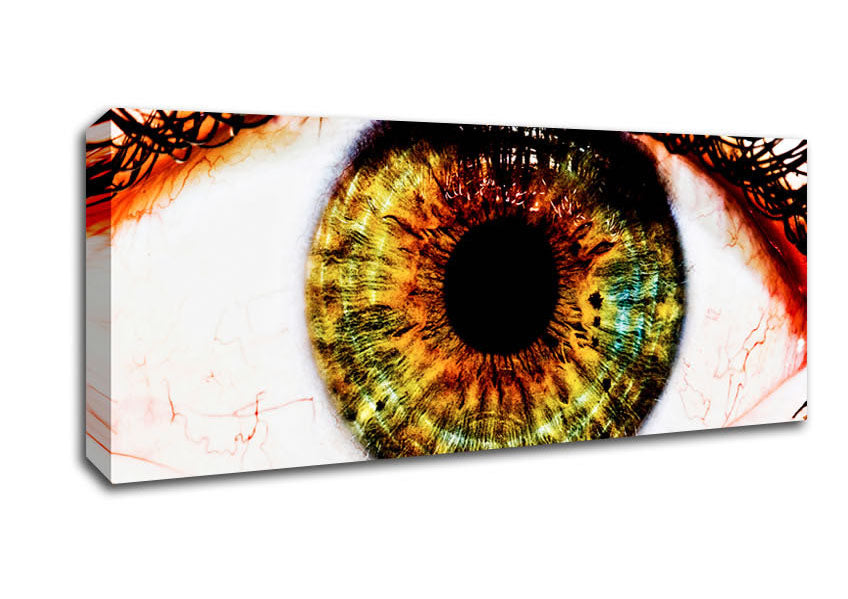 Picture of Big Eye Panoramic Canvas Wall Art