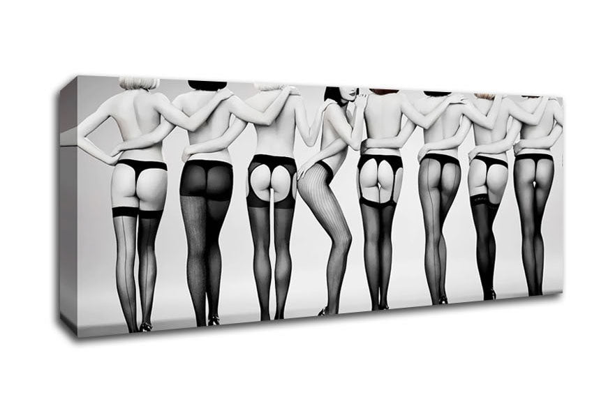 Picture of Cheeky Panoramic Canvas Wall Art