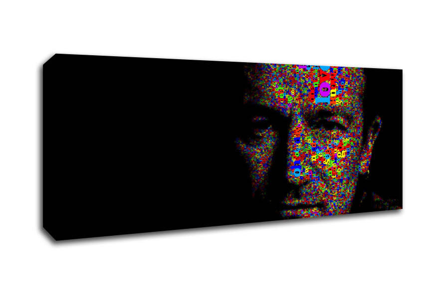 Picture of Bono In Colour Panoramic Canvas Wall Art