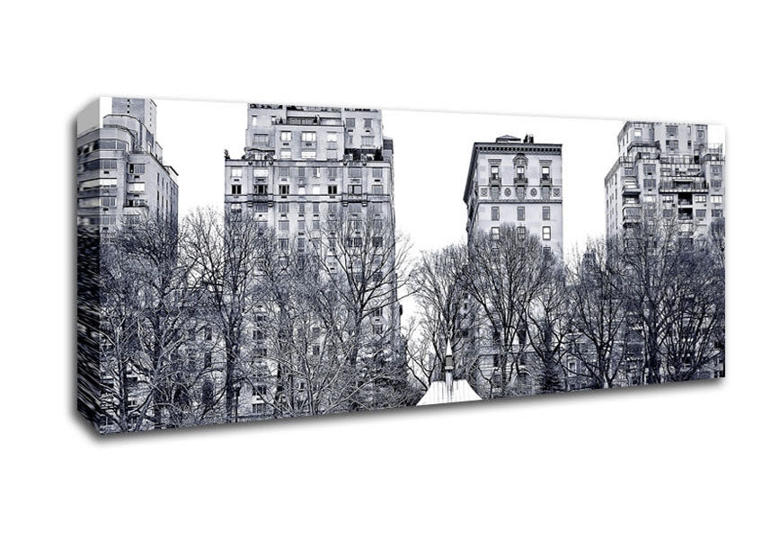 Picture of Central Park 2 Panoramic Canvas Wall Art