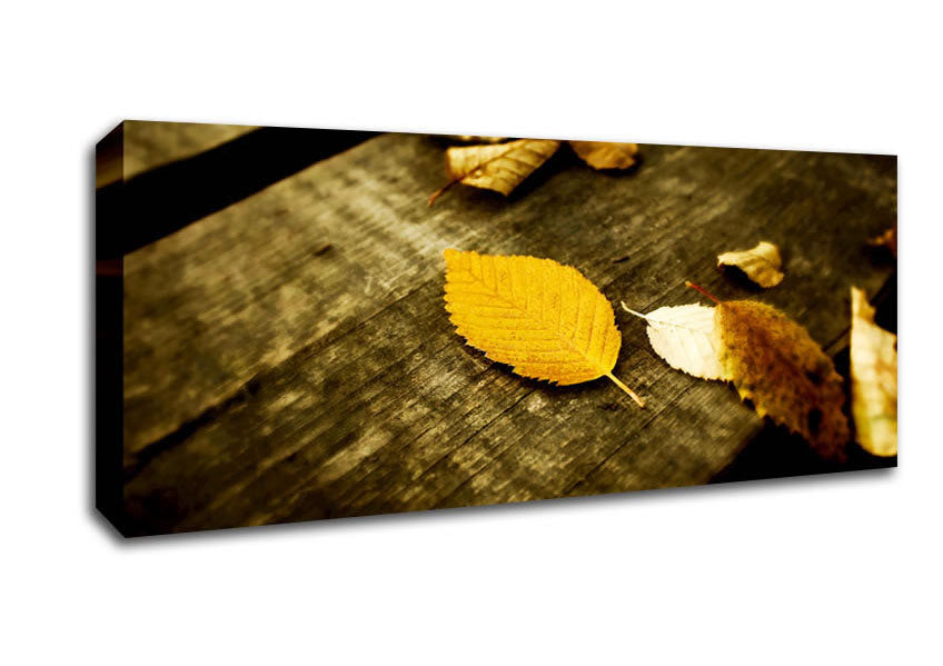 Picture of Autumn Leaves On The Deck Panoramic Canvas Wall Art