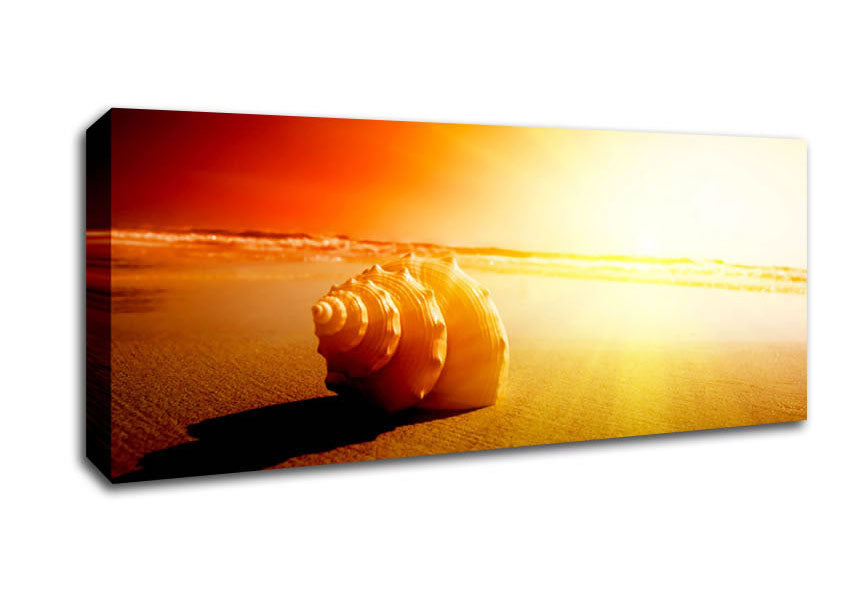 Picture of Seashell And Sun Panoramic Canvas Wall Art