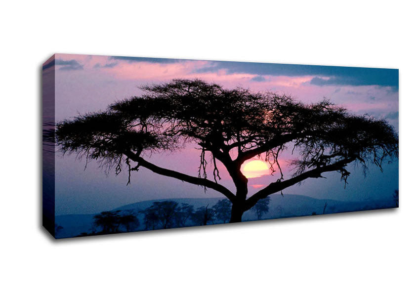 Picture of East African Sunset Panoramic Canvas Wall Art