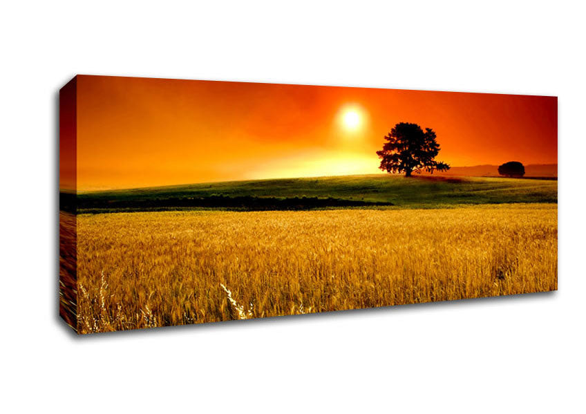 Picture of Stunning Countryside Sunset Panoramic Canvas Wall Art