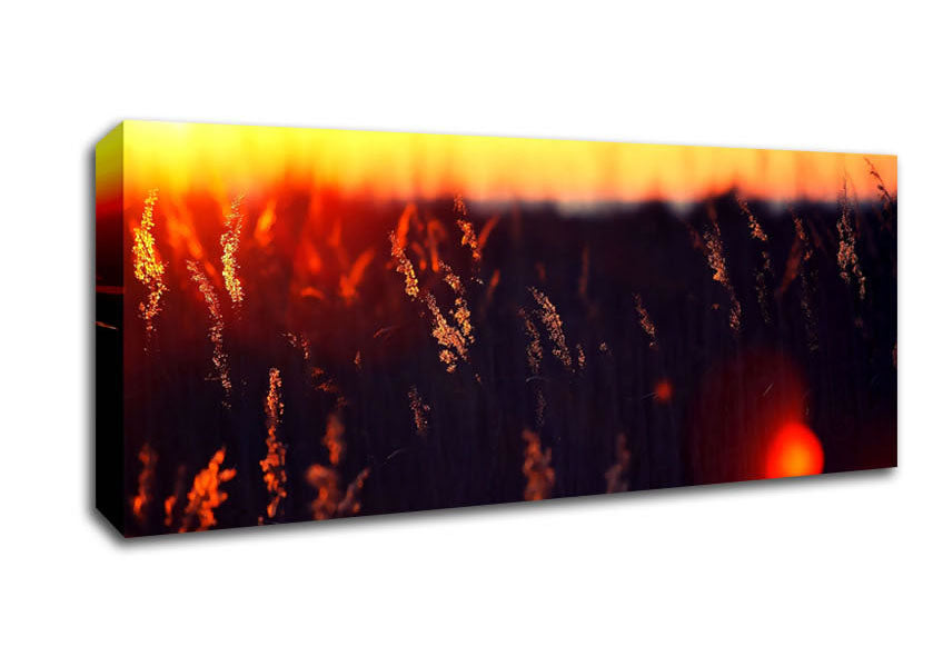 Picture of Hot Sunset Panoramic Canvas Wall Art