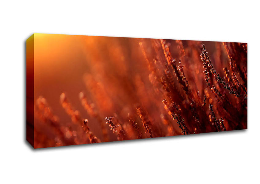 Picture of Sun Glare Panoramic Canvas Wall Art