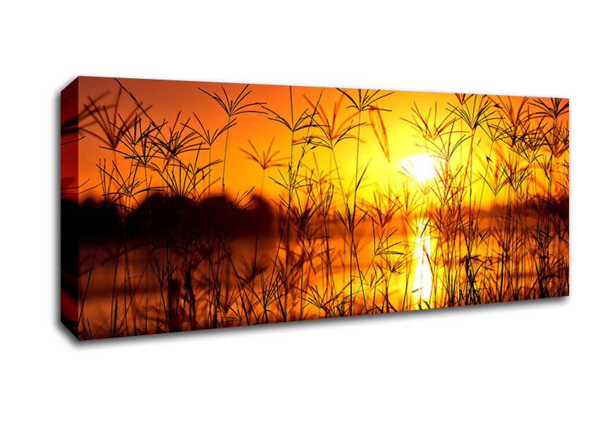 Picture of Sunset Light Summer Panoramic Canvas Wall Art