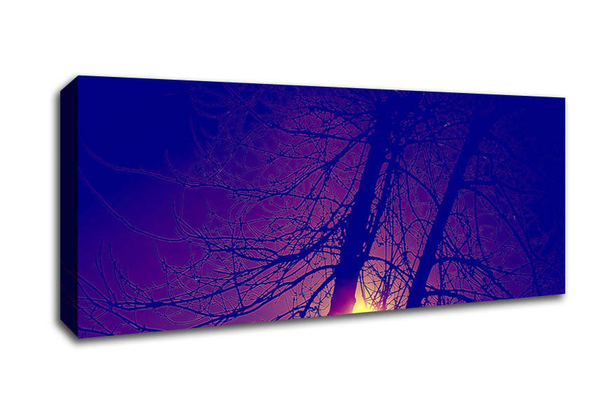 Picture of Sun At Dusk Between The Trees Panoramic Canvas Wall Art