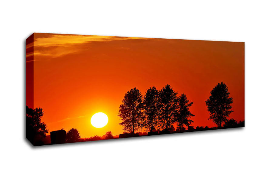 Picture of Orange Tree Horizon Panoramic Canvas Wall Art