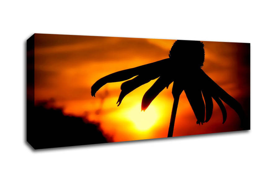 Picture of Sun Behind The Flower Panoramic Canvas Wall Art