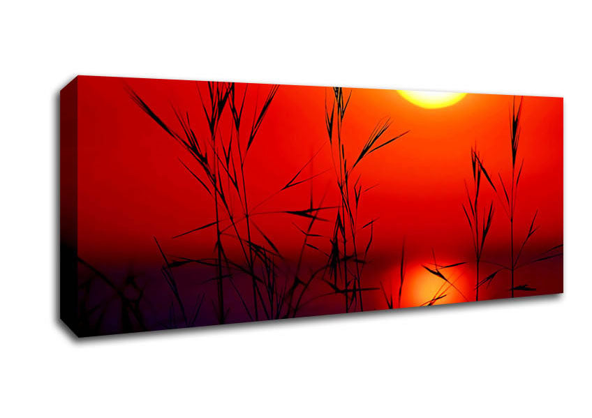 Picture of Sun Through The Red Reeds Panoramic Canvas Wall Art