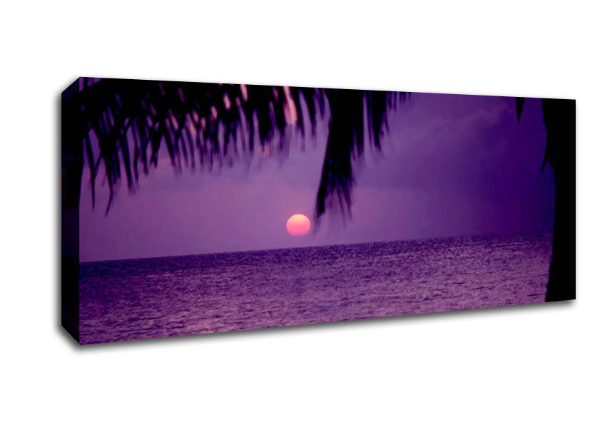 Picture of Sun Down Palm Purple Panoramic Canvas Wall Art