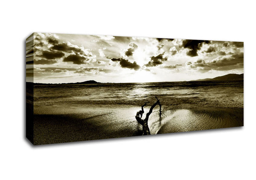 Picture of Driftwood Sepia Panoramic Canvas Wall Art