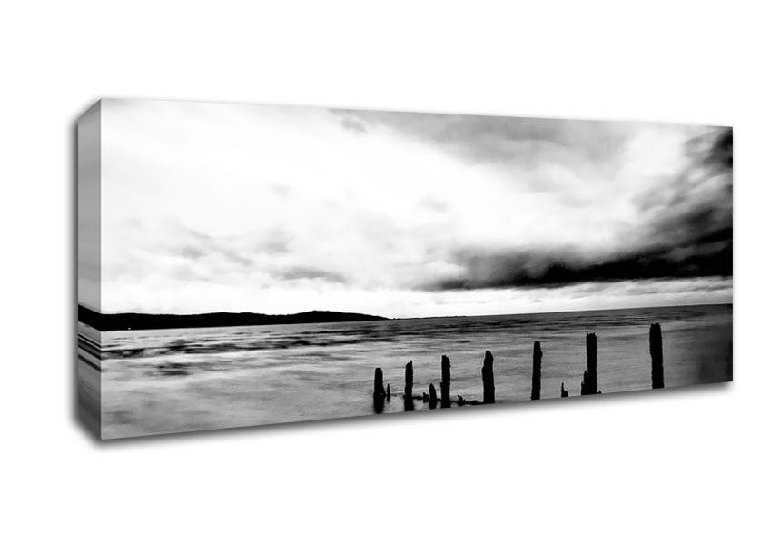 Picture of The Path To The Ocean B n W Panoramic Canvas Wall Art