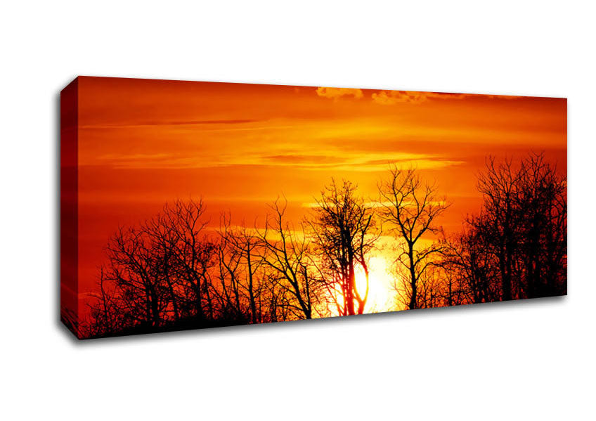 Picture of Orange Sunset Treeline Panoramic Canvas Wall Art