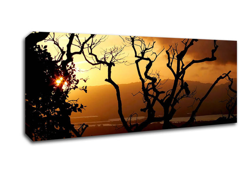 Picture of Caramel Tree Morning Panoramic Canvas Wall Art