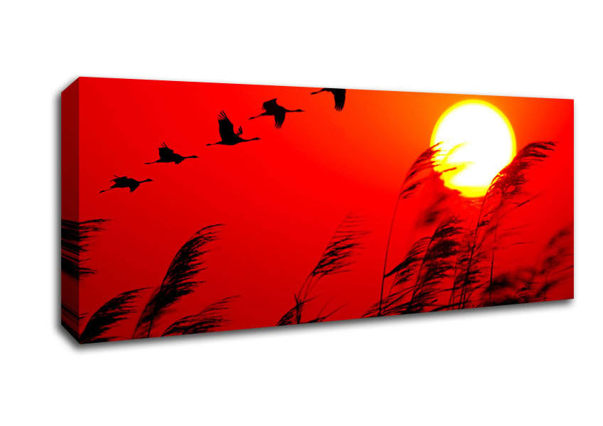 Picture of Geese In Flight Under The Red Sun Panoramic Canvas Wall Art