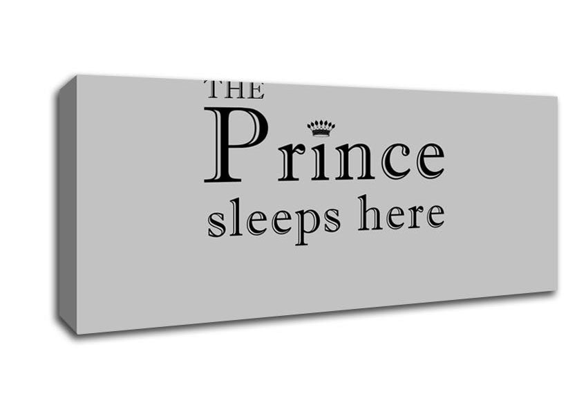 Picture of Boys room Quote The Prince Sleeps Here Grey Panoramic Canvas Wall Art