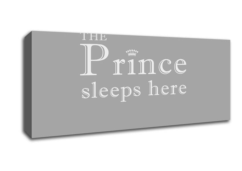 Picture of Boys room Quote The Prince Sleeps Here Grey White Panoramic Canvas Wall Art